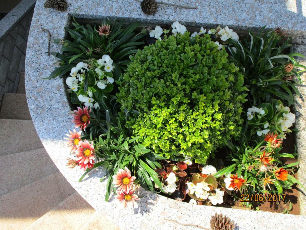 Villa Suzy-Apartments Suzana لوفغان المظهر الخارجي الصورة
